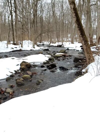 India Brook Park - Mendham, NJ