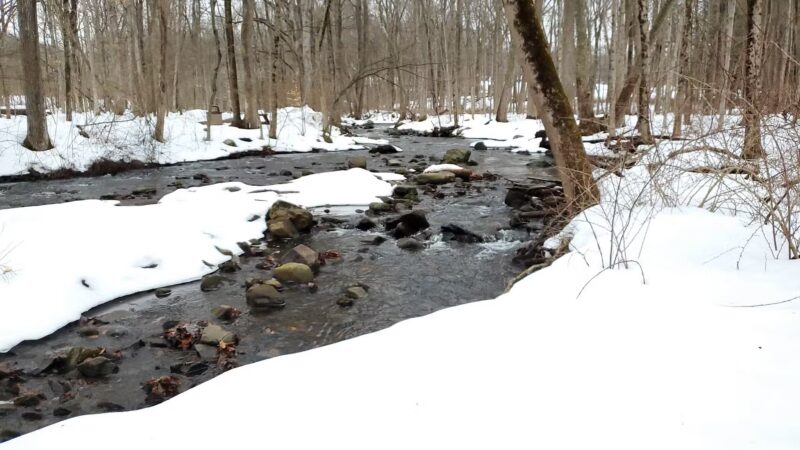 India Brook Park - Mendham, NJ