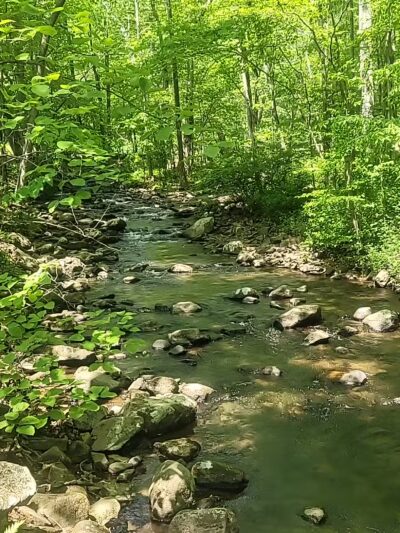 India Brook Park - Mendham, NJ
