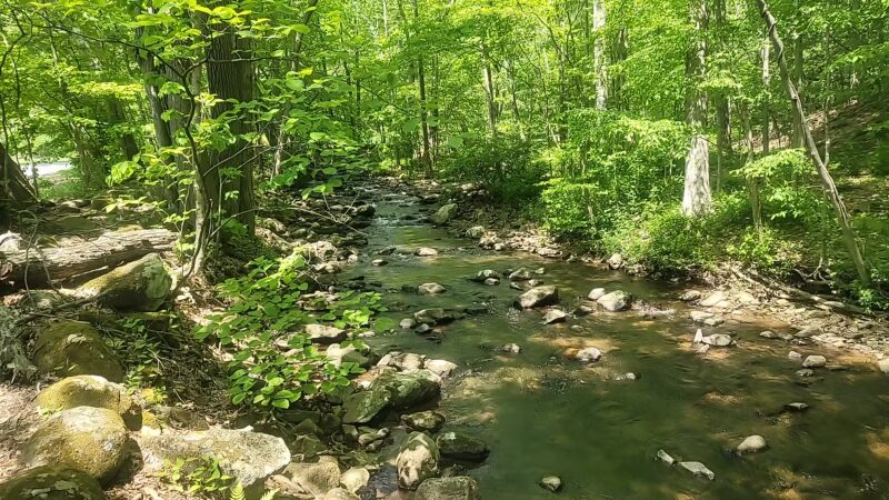 India Brook Park - Mendham, NJ