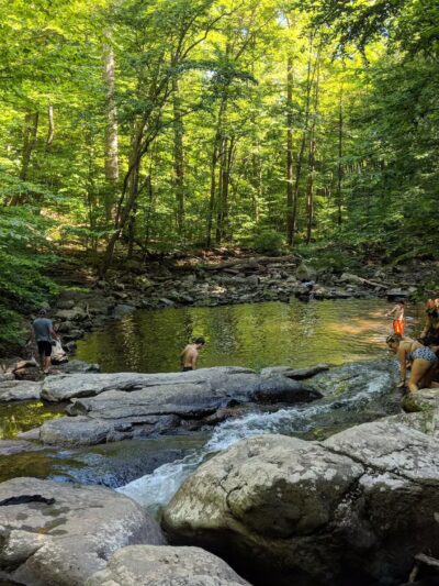 India Brook Park - Mendham, NJ