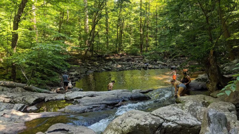 India Brook Park - Mendham, NJ