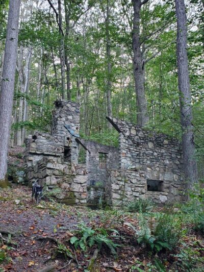 Dismal Harmony parking & trail head - Mendham Township, NJ