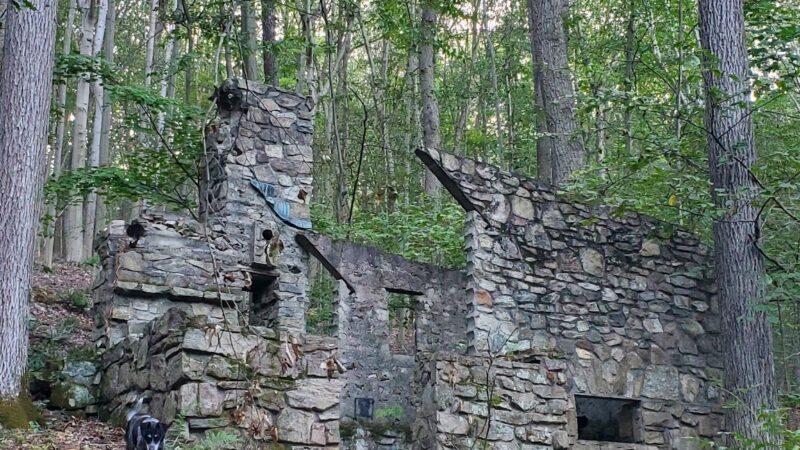 Dismal Harmony parking & trail head - Mendham Township, NJ
