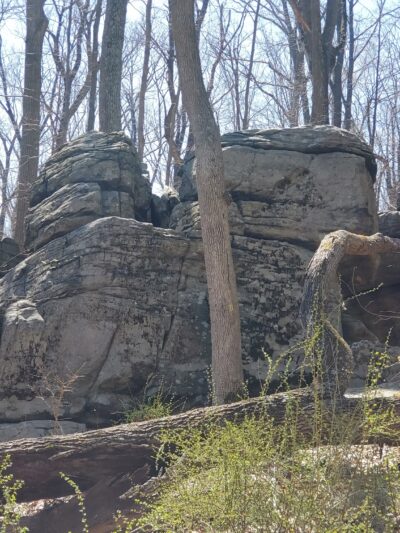 Dismal Harmony parking & trail head - Mendham Township, NJ