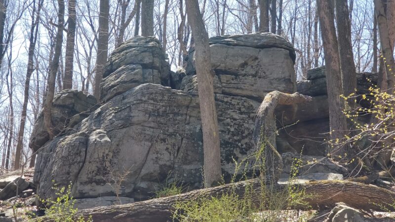 Dismal Harmony parking & trail head - Mendham Township, NJ