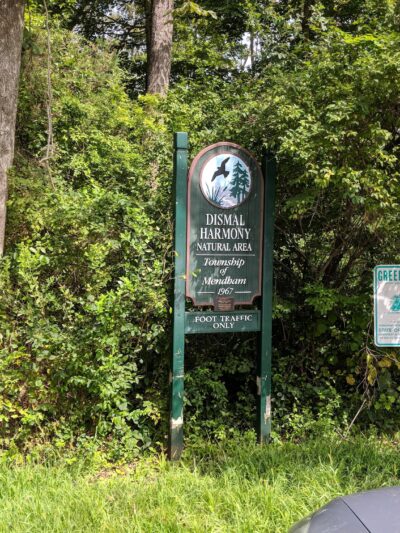 Dismal Harmony parking & trail head - Mendham Township, NJ