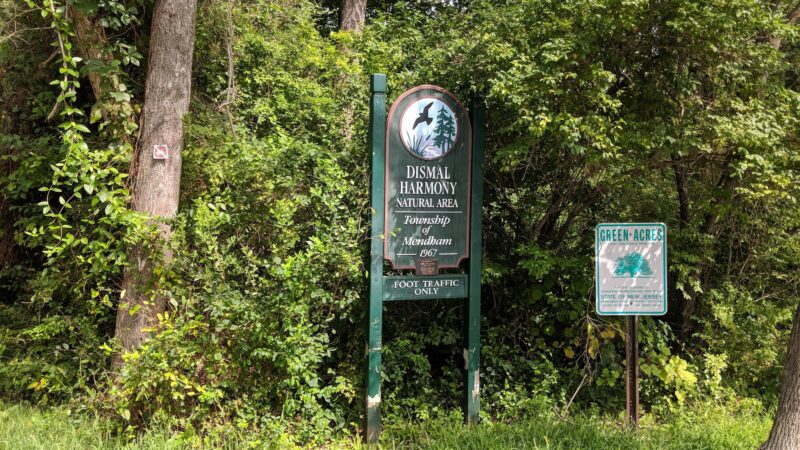 Dismal Harmony parking & trail head - Mendham Township, NJ
