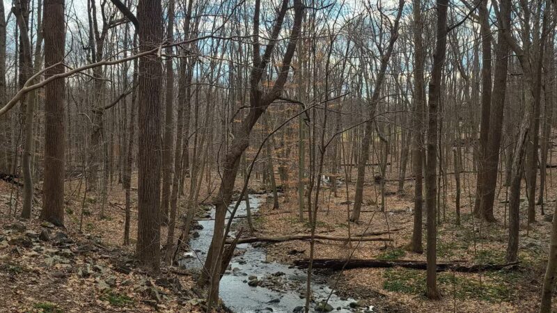Dismal Harmony parking & trail head - Mendham Township, NJ