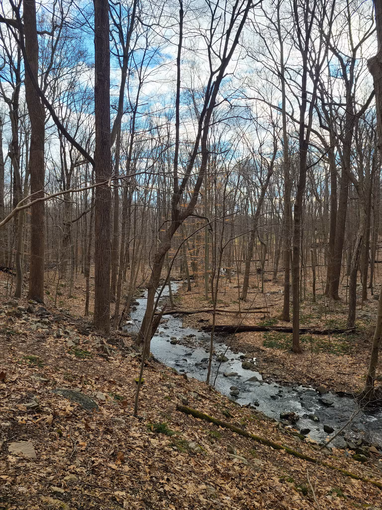 Dismal Harmony parking & trail head - Mendham Township, NJ