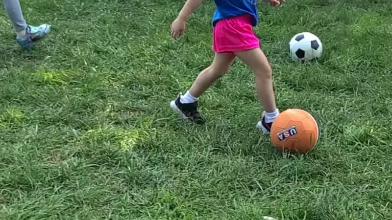 Wysong Park & Ralston Playground - Mendham Township, NJ