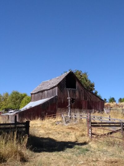 Pioneer Park - Mendon, UT