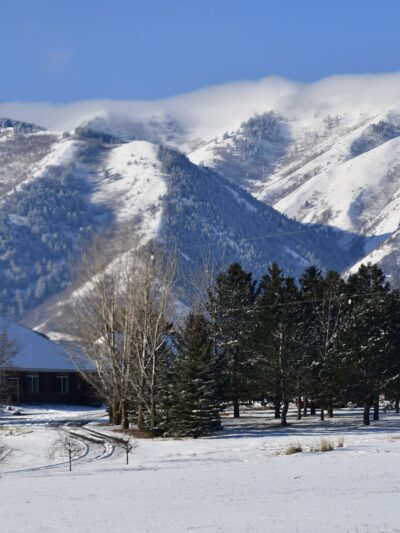 Taylor Park - Mendon, UT