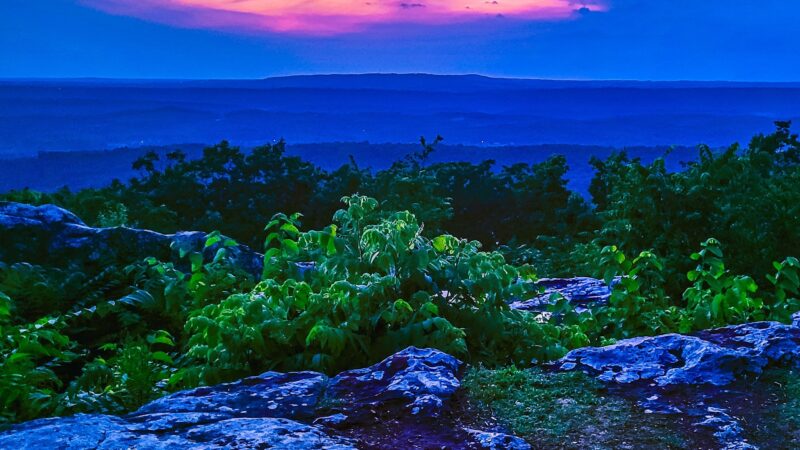 Brow Park - Mentone, AL