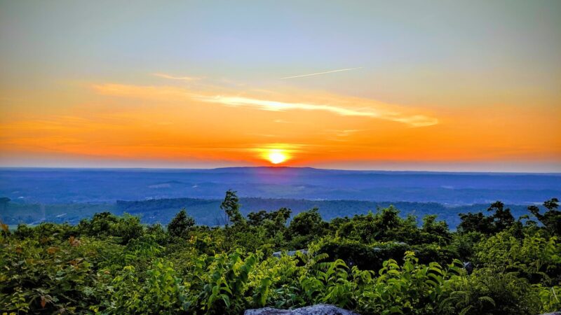 Brow Park - Mentone, AL