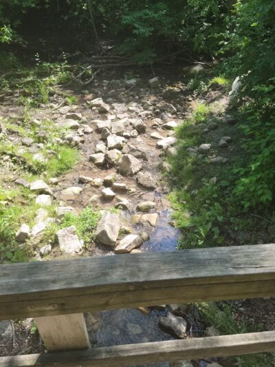 Mequon dog park - Mequon, WI