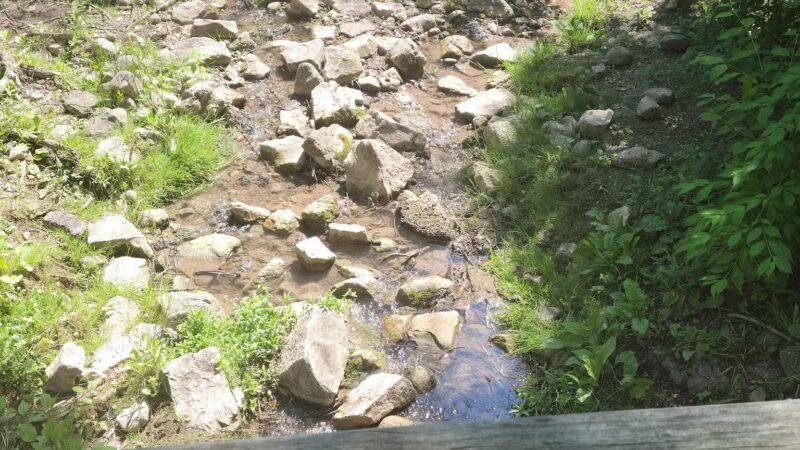 Mequon dog park - Mequon, WI