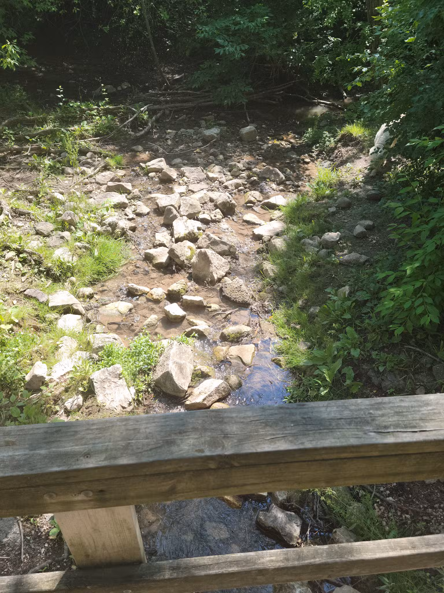 Mequon dog park - Mequon, WI