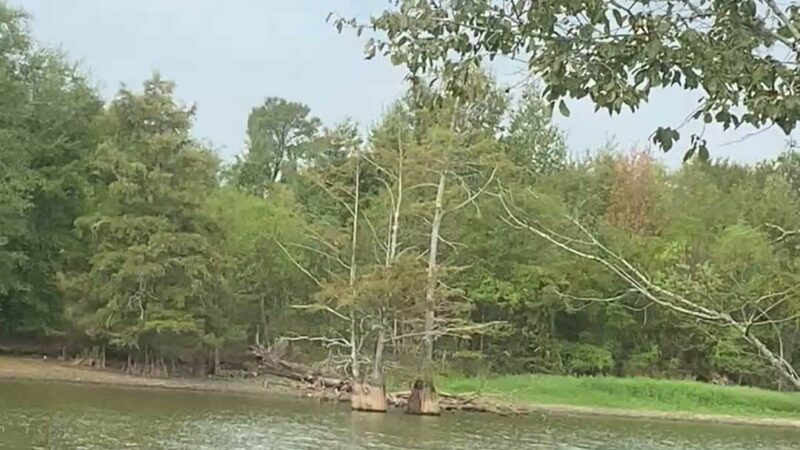 Bayou Bonne Idee RV PARK and one cabin - Mer Rouge, LA