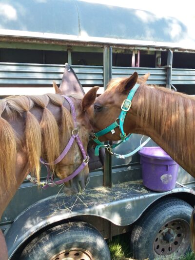 Mercer County 4-H Park - Mercer, PA