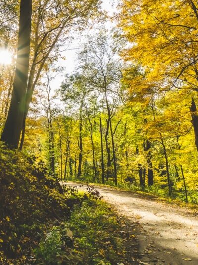 Merom Bluff Park Historical Views - Merom, IN