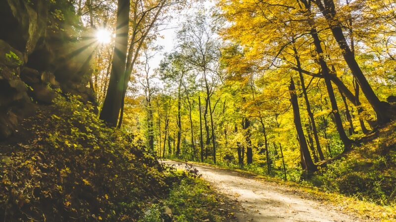 Merom Bluff Park Historical Views - Merom, IN