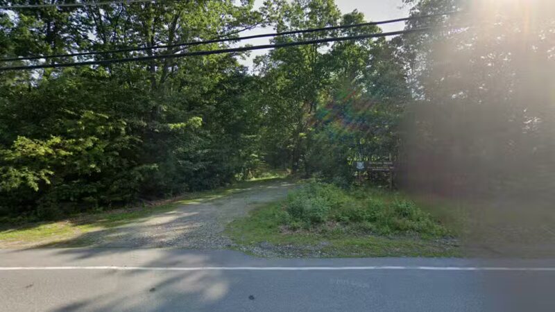 Dumpling Brook WMA - Merrimack, NH