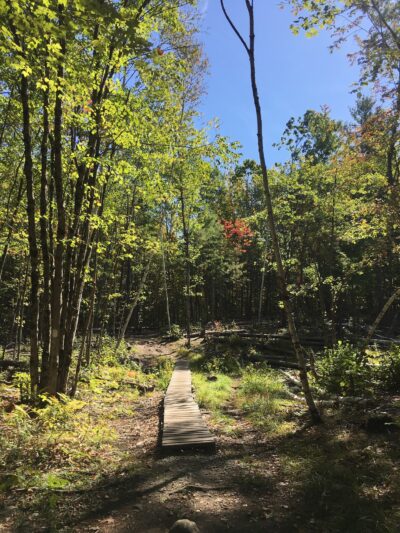 Horse Hill Nature Preserve - Merrimack, NH