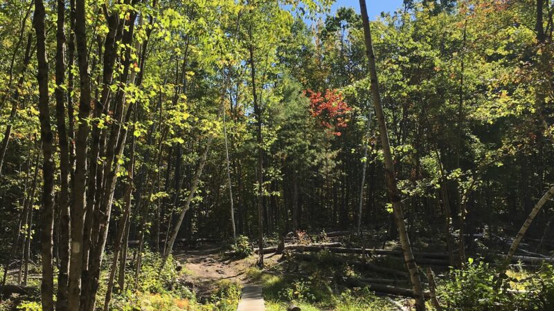 Horse Hill Nature Preserve - Merrimack, NH