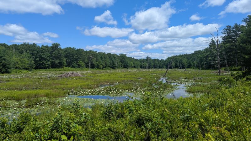 Horse Hill Nature Preserve - Merrimack, NH