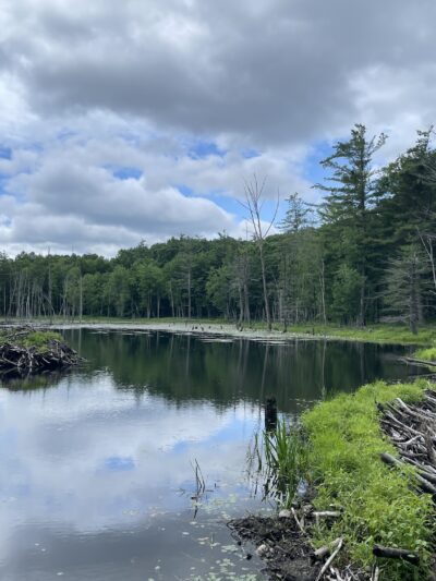Horse Hill Nature Preserve - Merrimack, NH