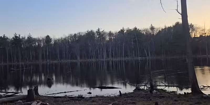 Horse Hill Nature Preserve - Merrimack, NH