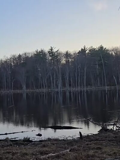 Horse Hill Nature Preserve - Merrimack, NH