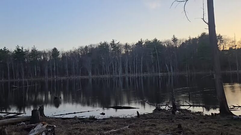 Horse Hill Nature Preserve - Merrimack, NH