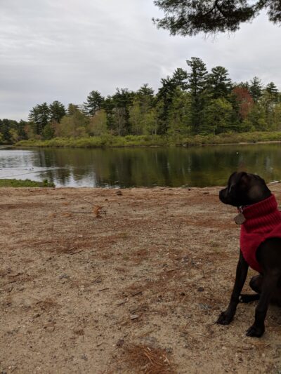 Wasserman Park - Merrimack, NH