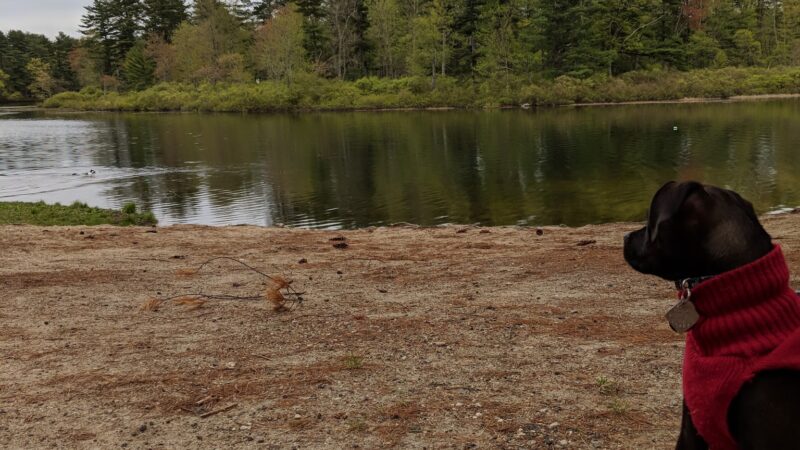 Wasserman Park - Merrimack, NH