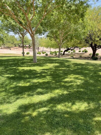 Adobe Hills HOA Park - Mesa, AZ