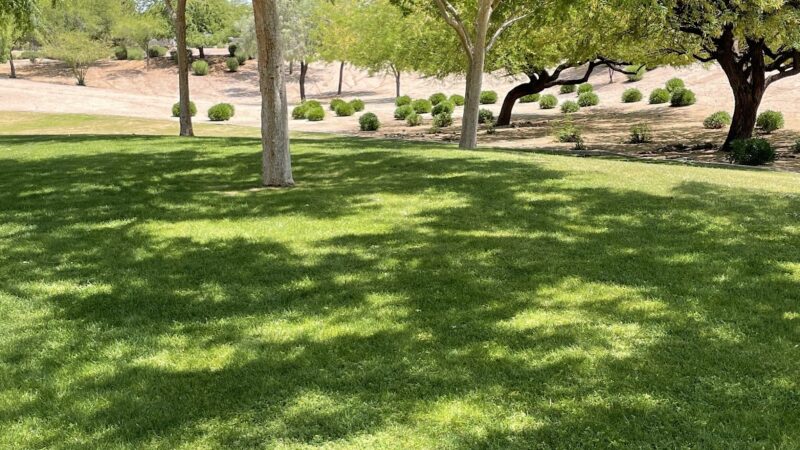 Adobe Hills HOA Park - Mesa, AZ