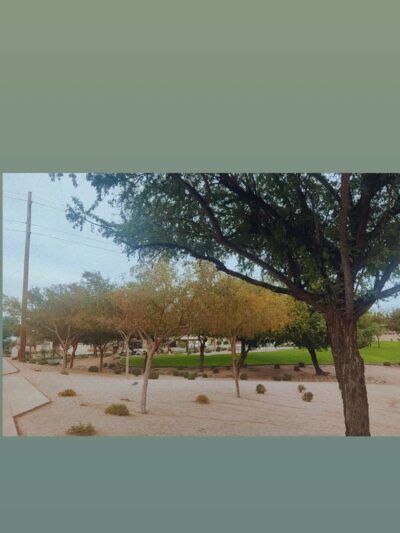 Adobe Hills HOA Park - Mesa, AZ