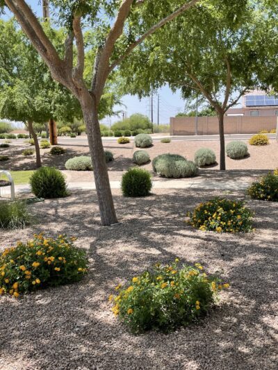 Adobe Hills HOA Park - Mesa, AZ