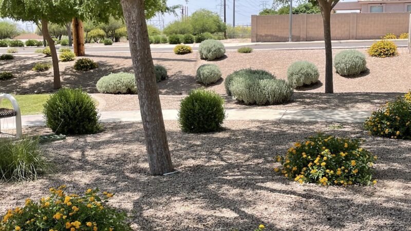 Adobe Hills HOA Park - Mesa, AZ