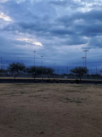 Baseball Fields & Dog Park @ Eastmark Great Park - Mesa, AZ
