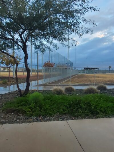 Baseball Fields & Dog Park @ Eastmark Great Park - Mesa, AZ