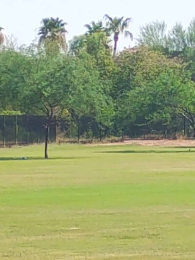 Beverly Park - Mesa, AZ