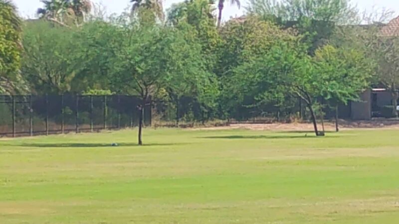 Beverly Park - Mesa, AZ