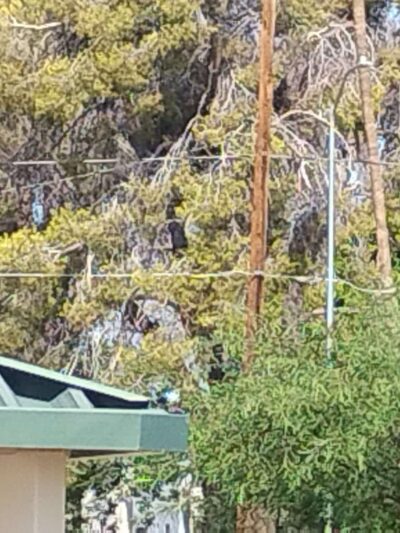 Beverly Park - Mesa, AZ