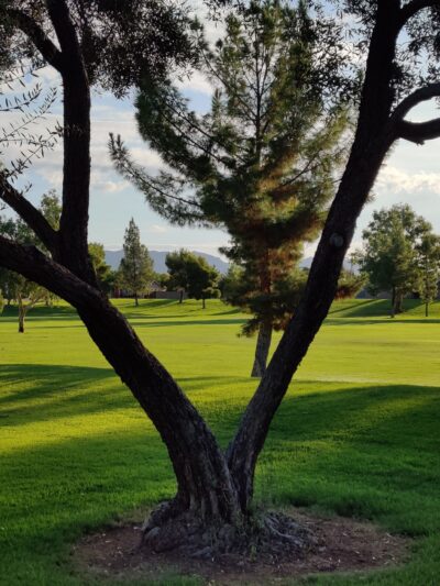 Golden Hills Park - Mesa, AZ