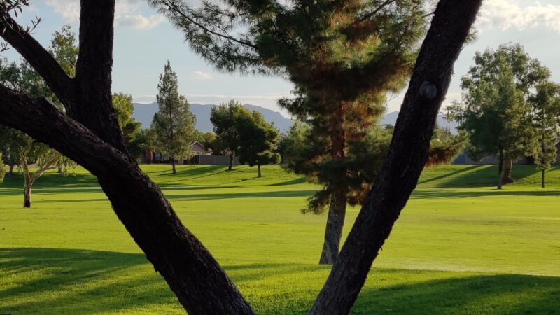 Golden Hills Park - Mesa, AZ