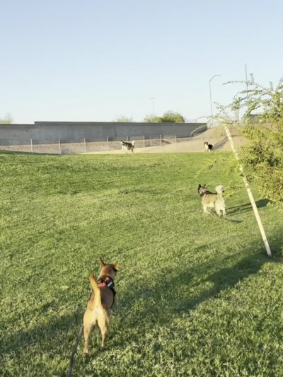 Sherwood Park - Mesa, AZ