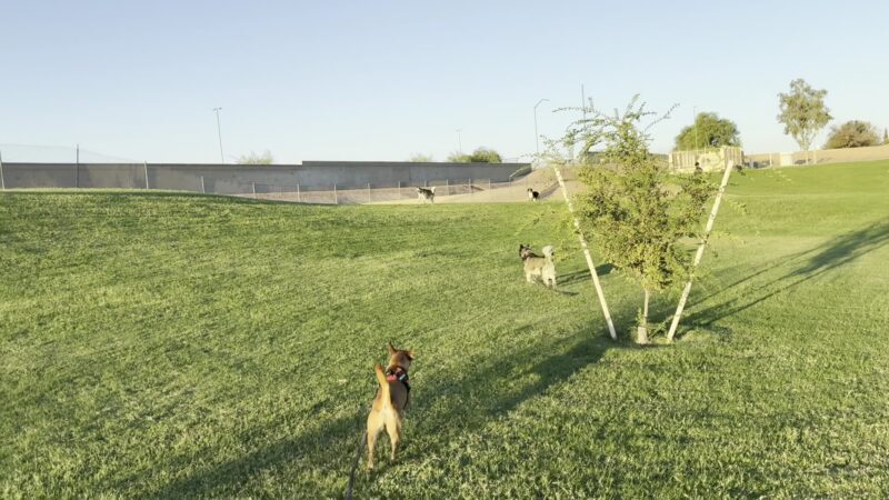 Sherwood Park - Mesa, AZ